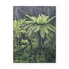 UK Print - Stretched Canvas - The ancient forest preserved in Toro Negro rainforest Puerto Rico - highest land at 4,000 feet altitude - Green Forest Home