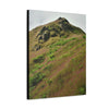 UK Print - Stretched Canvas - The ancient forest preserved in Toro Negro rainforest Puerto Rico - highest land at 4,000 feet altitude - Green Forest Home