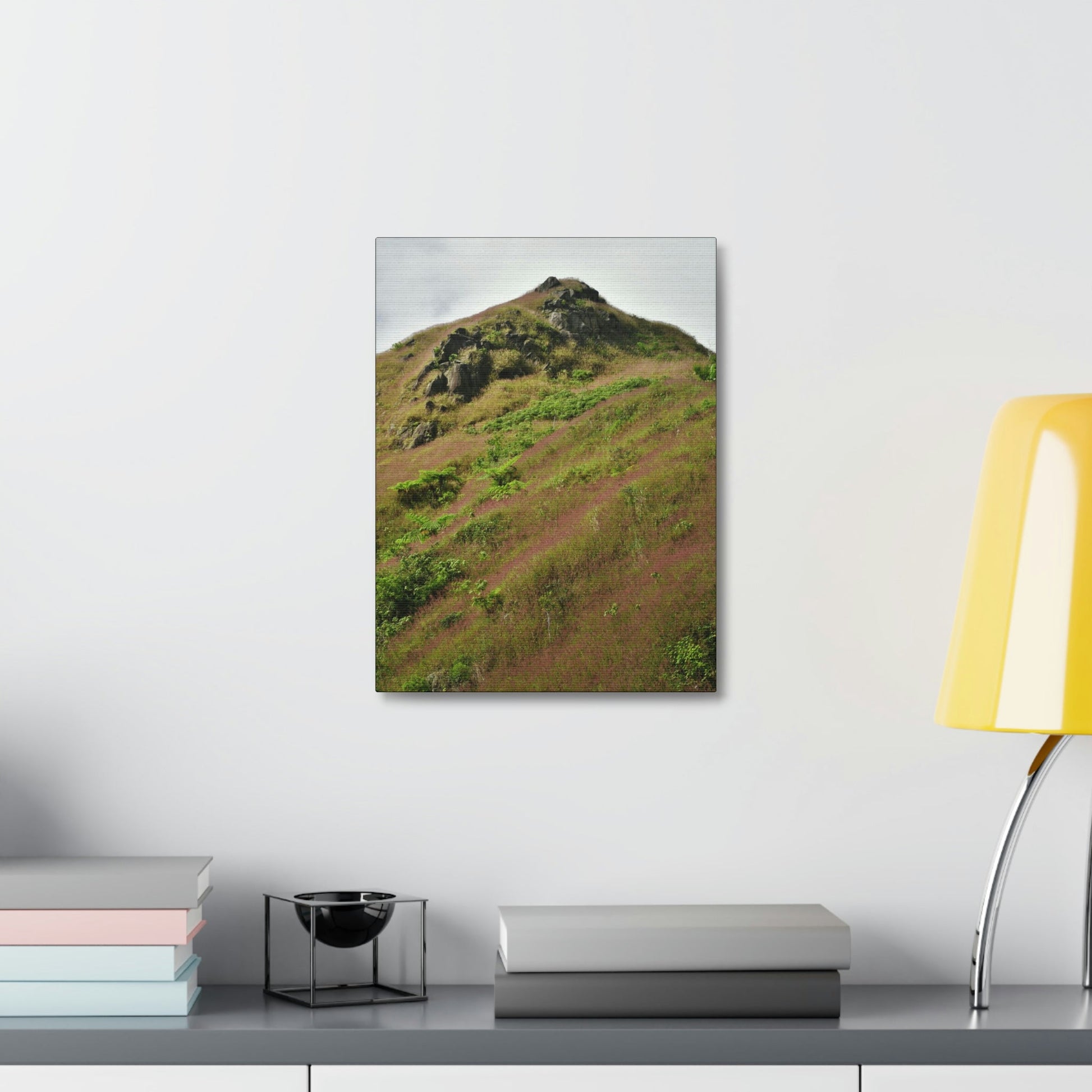 UK Print - Stretched Canvas - The ancient forest preserved in Toro Negro rainforest Puerto Rico - highest land at 4,000 feet altitude - Green Forest Home