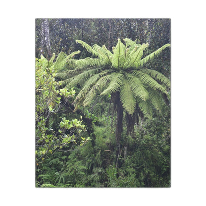 UK Print - Stretched Canvas - The ancient forest preserved in Toro Negro rainforest Puerto Rico - highest land at 4,000 feet altitude - Green Forest Home