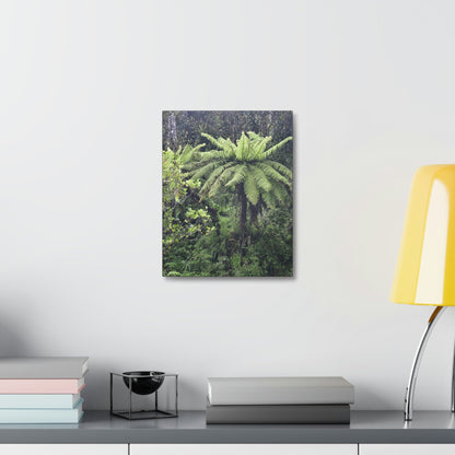 UK Print - Stretched Canvas - The ancient forest preserved in Toro Negro rainforest Puerto Rico - highest land at 4,000 feet altitude - Green Forest Home