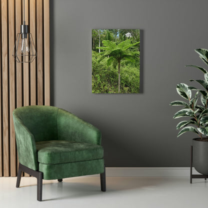UK Print - Stretched Canvas - The ancient forest preserved in Toro Negro rainforest Puerto Rico - highest land at 4,000 feet altitude - Green Forest Home