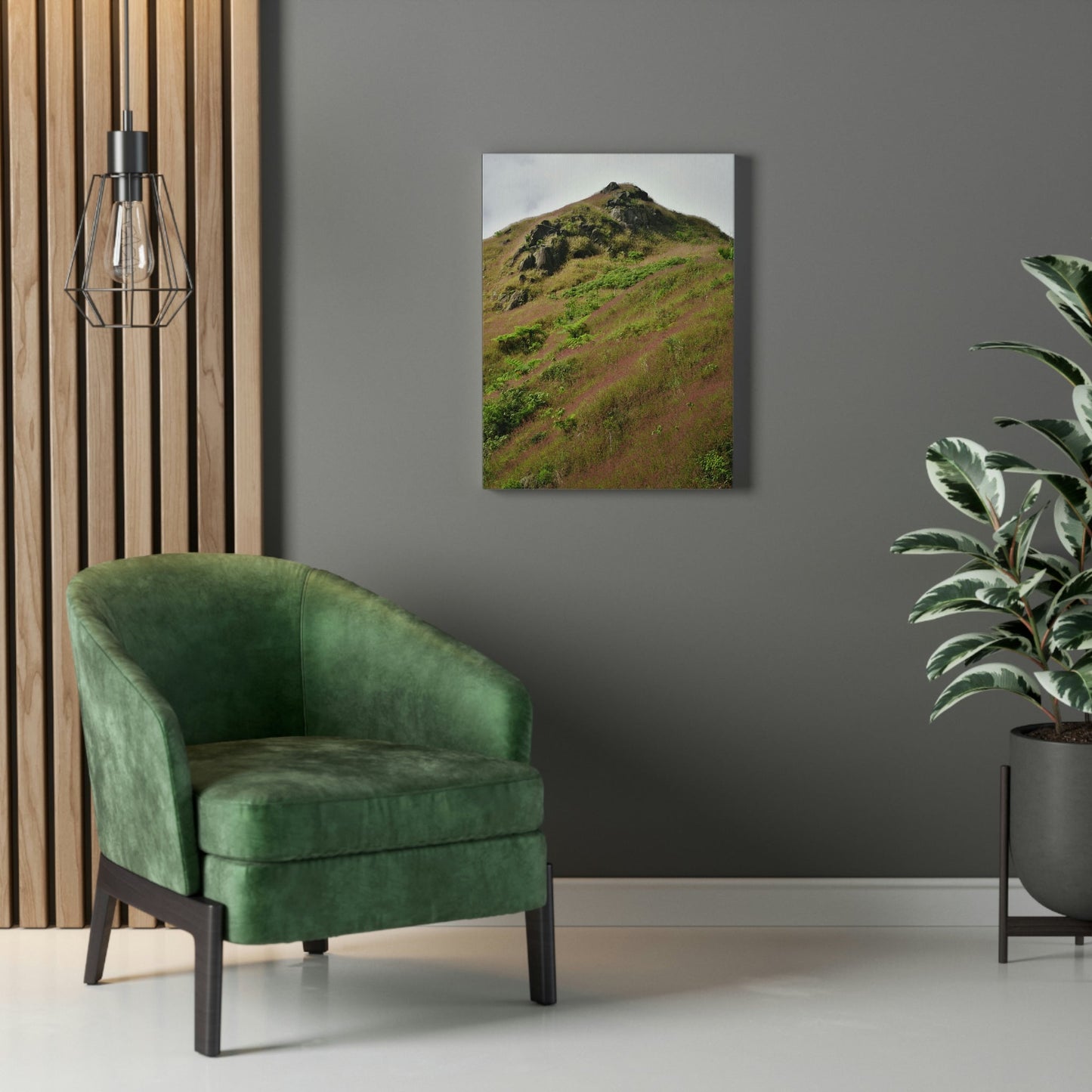 UK Print - Stretched Canvas - The ancient forest preserved in Toro Negro rainforest Puerto Rico - highest land at 4,000 feet altitude - Green Forest Home