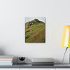 UK Print - Stretched Canvas - The ancient forest preserved in Toro Negro rainforest Puerto Rico - highest land at 4,000 feet altitude - Green Forest Home