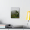 UK Print - Stretched Canvas - The ancient forest preserved in Toro Negro rainforest Puerto Rico - highest land at 4,000 feet altitude - Green Forest Home