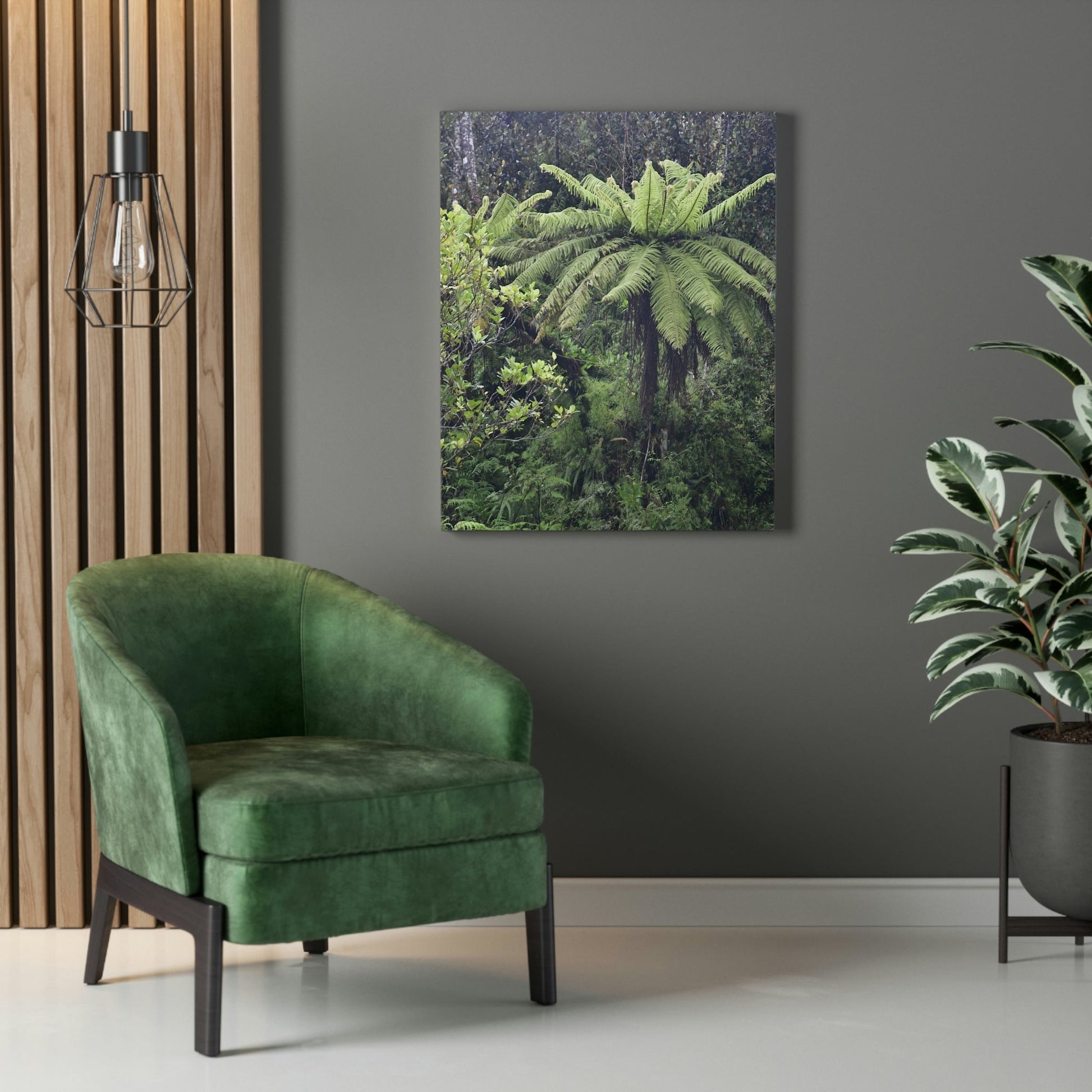 UK Print - Stretched Canvas - The ancient forest preserved in Toro Negro rainforest Puerto Rico - highest land at 4,000 feet altitude - Green Forest Home