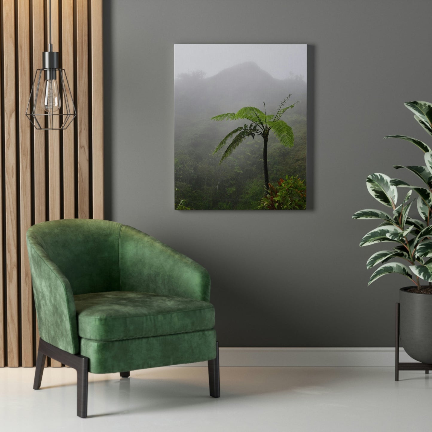UK Print - Stretched Canvas - The ancient forest preserved in Toro Negro rainforest Puerto Rico - highest land at 4,000 feet altitude - Green Forest Home