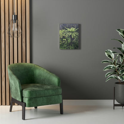 UK Print - Stretched Canvas - The ancient forest preserved in Toro Negro rainforest Puerto Rico - highest land at 4,000 feet altitude - Green Forest Home