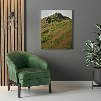 UK Print - Stretched Canvas - The ancient forest preserved in Toro Negro rainforest Puerto Rico - highest land at 4,000 feet altitude - Green Forest Home