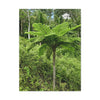 UK Print - Stretched Canvas - The ancient forest preserved in Toro Negro rainforest Puerto Rico - highest land at 4,000 feet altitude - Green Forest Home