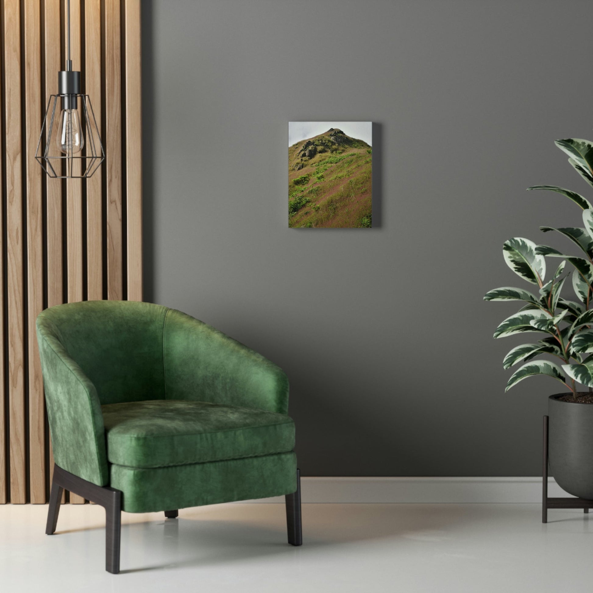 UK Print - Stretched Canvas - The ancient forest preserved in Toro Negro rainforest Puerto Rico - highest land at 4,000 feet altitude - Green Forest Home