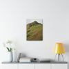 UK Print - Stretched Canvas - The ancient forest preserved in Toro Negro rainforest Puerto Rico - highest land at 4,000 feet altitude - Green Forest Home