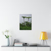 UK Print - Stretched Canvas - The ancient forest preserved in Toro Negro rainforest Puerto Rico - highest land at 4,000 feet altitude - Green Forest Home