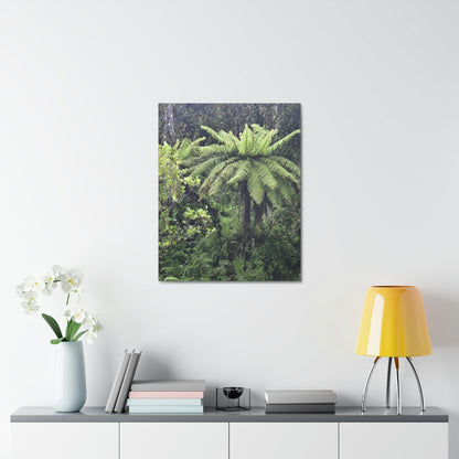 UK Print - Stretched Canvas - The ancient forest preserved in Toro Negro rainforest Puerto Rico - highest land at 4,000 feet altitude - Green Forest Home