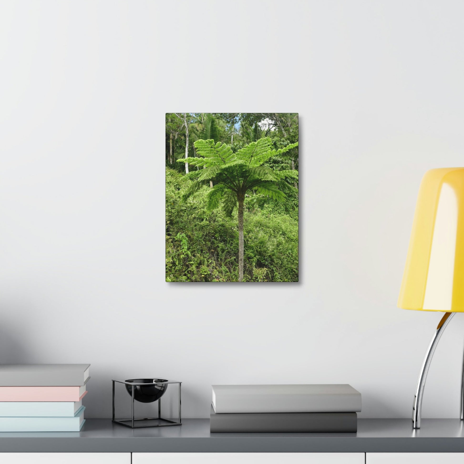 UK Print - Stretched Canvas - The ancient forest preserved in Toro Negro rainforest Puerto Rico - highest land at 4,000 feet altitude - Green Forest Home