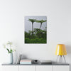 UK Print - Stretched Canvas - The ancient forest preserved in Toro Negro rainforest Puerto Rico - highest land at 4,000 feet altitude - Green Forest Home