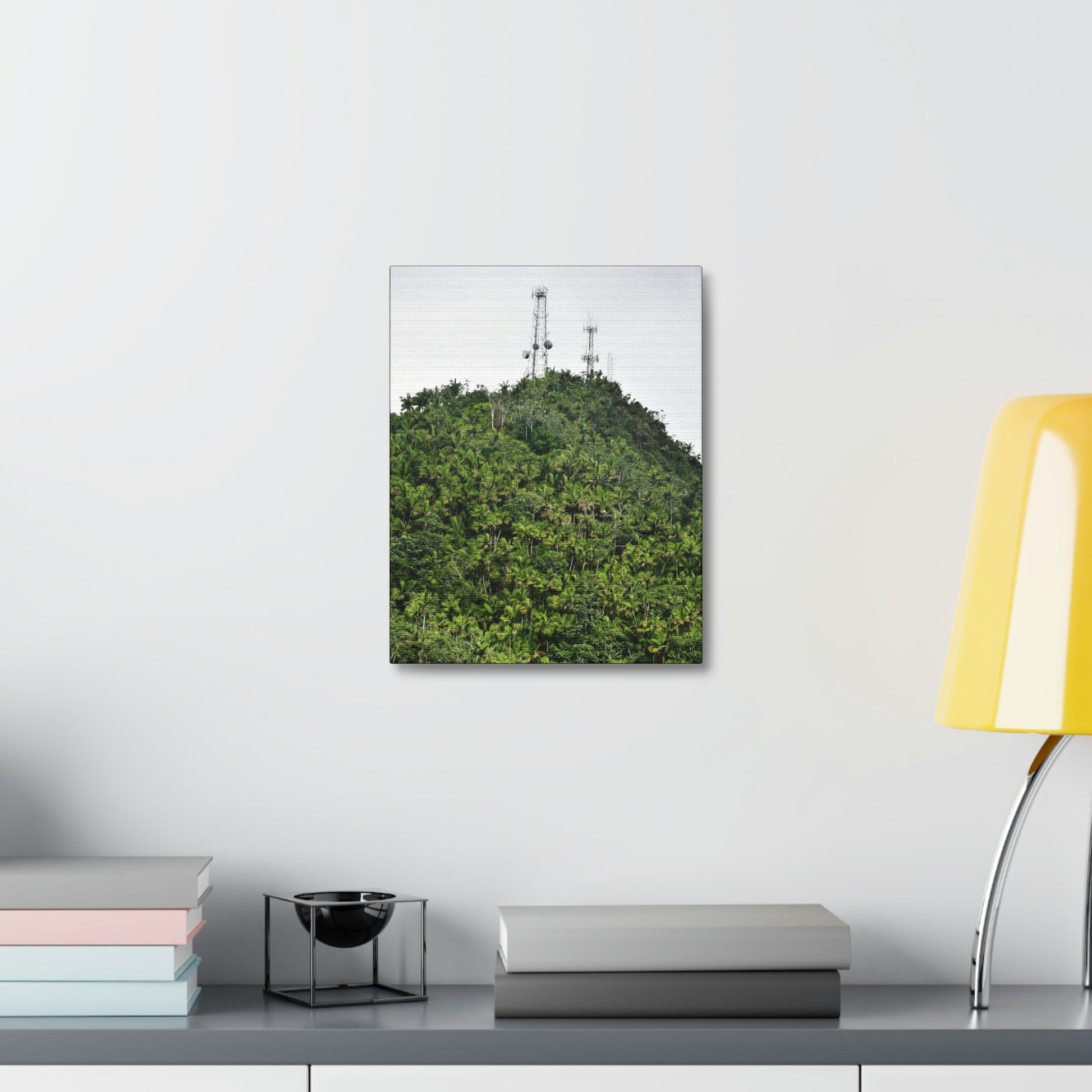 UK Print - Stretched Canvas - The ancient forest preserved in Toro Negro rainforest Puerto Rico - highest peak - Cerro Puntas at 4,300 feet altitude - Green Forest Home