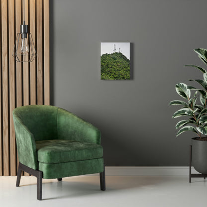 UK Print - Stretched Canvas - The ancient forest preserved in Toro Negro rainforest Puerto Rico - highest peak - Cerro Puntas at 4,300 feet altitude - Green Forest Home