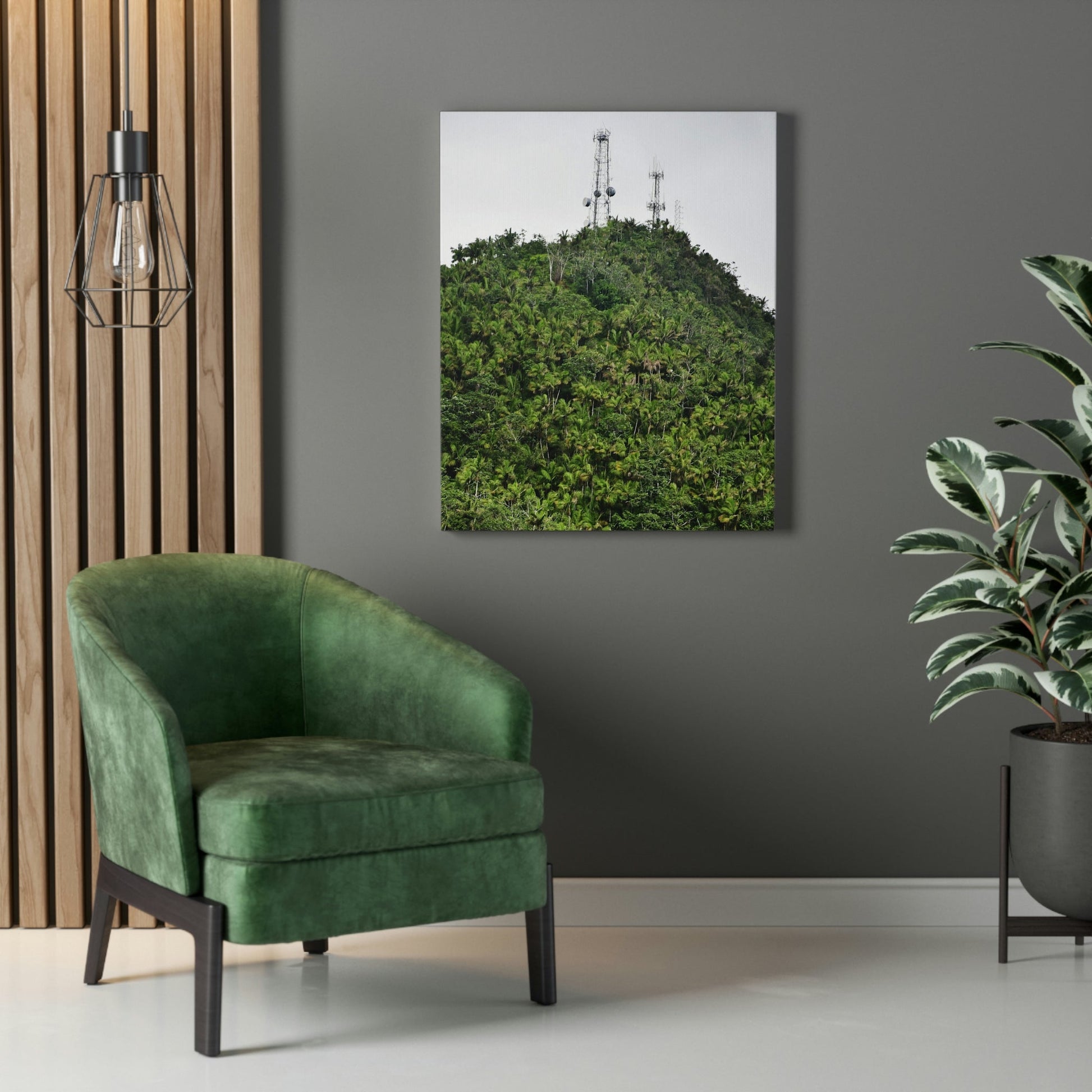UK Print - Stretched Canvas - The ancient forest preserved in Toro Negro rainforest Puerto Rico - highest peak - Cerro Puntas at 4,300 feet altitude - Green Forest Home