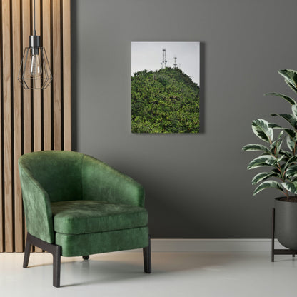 UK Print - Stretched Canvas - The ancient forest preserved in Toro Negro rainforest Puerto Rico - highest peak - Cerro Puntas at 4,300 feet altitude - Green Forest Home