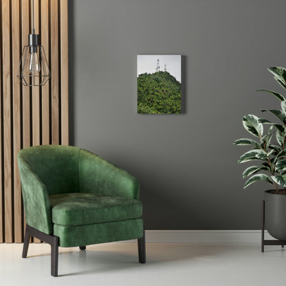 UK Print - Stretched Canvas - The ancient forest preserved in Toro Negro rainforest Puerto Rico - highest peak - Cerro Puntas at 4,300 feet altitude - Green Forest Home