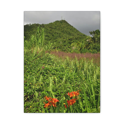 UK Print - Stretched Canvas - The ancient forest preserved in Toro Negro rainforest Puerto Rico - highest peak - Cerro Puntas at 4,300 feet altitude - Green Forest Home