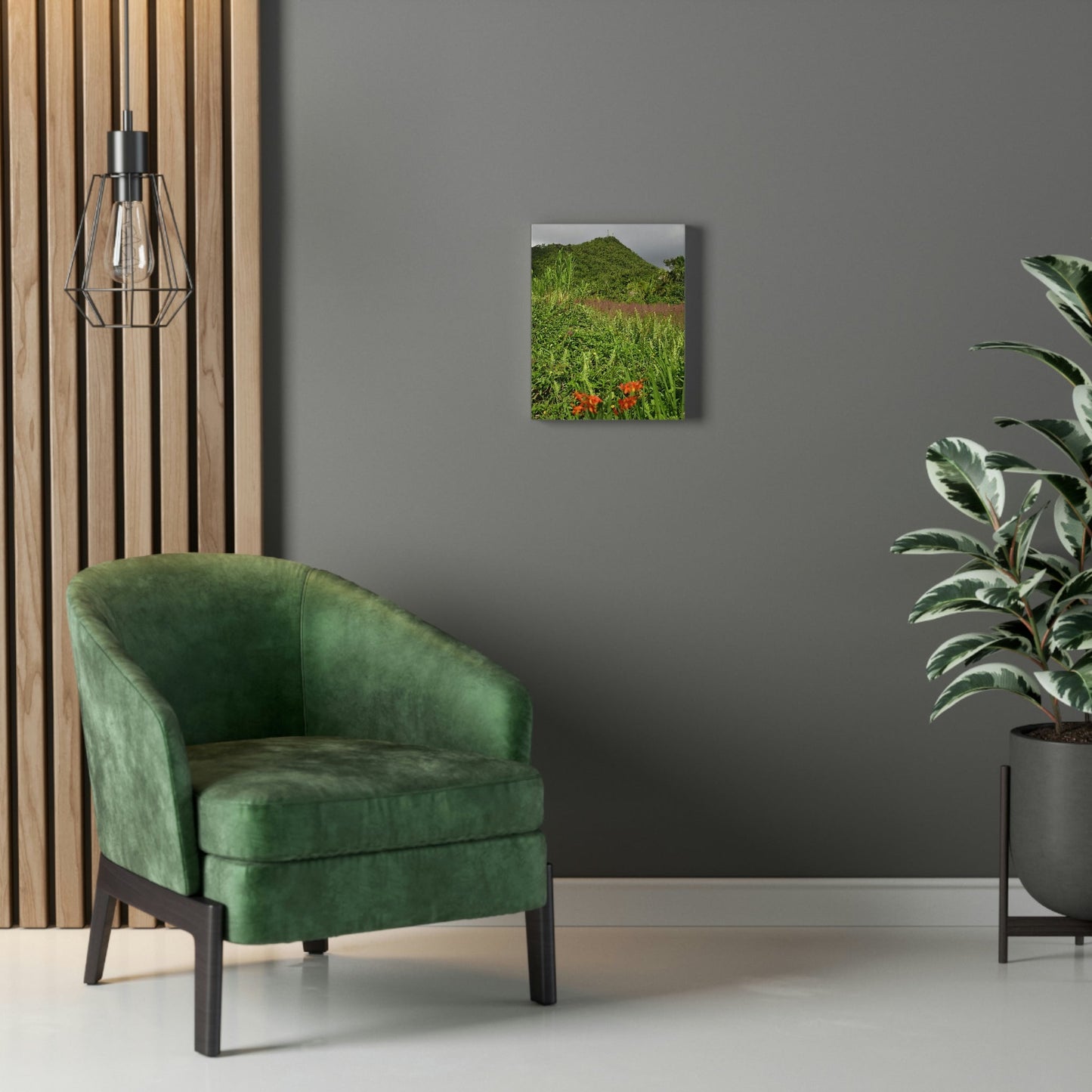 UK Print - Stretched Canvas - The ancient forest preserved in Toro Negro rainforest Puerto Rico - highest peak - Cerro Puntas at 4,300 feet altitude - Green Forest Home