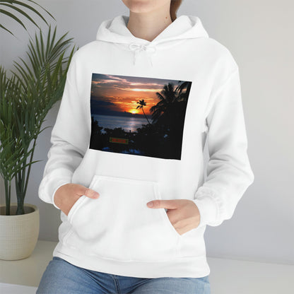 Unisex Heavy Blend Hooded Sweatshirt with Awesome RINCON BEACH in Puerto Rico - surfing, food, lodging, fun - Green Forest Home