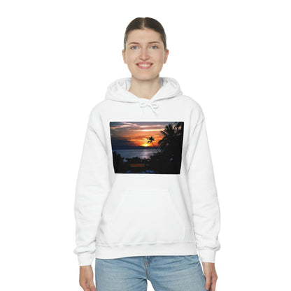 Unisex Heavy Blend Hooded Sweatshirt with Awesome RINCON BEACH in Puerto Rico - surfing, food, lodging, fun - Green Forest Home
