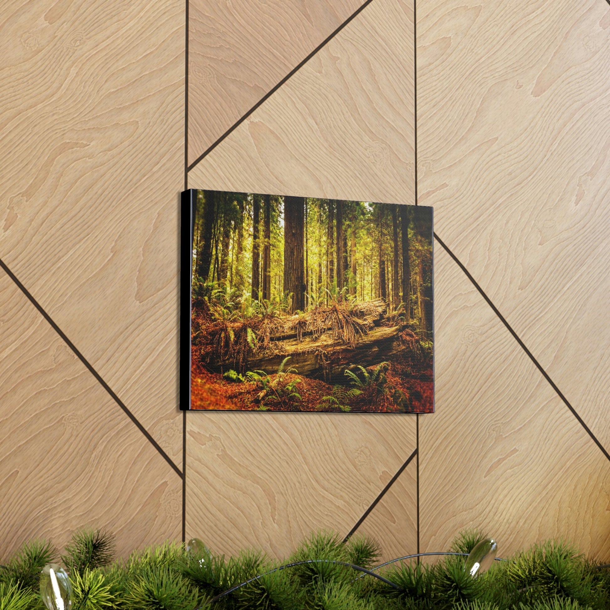 US NATIONAL PARKS - SMALL Canvas Gallery Wraps - Giant sequoia trees in the Redwood Forest National and State Park, California - the world's oldest trees! - Green Forest Home