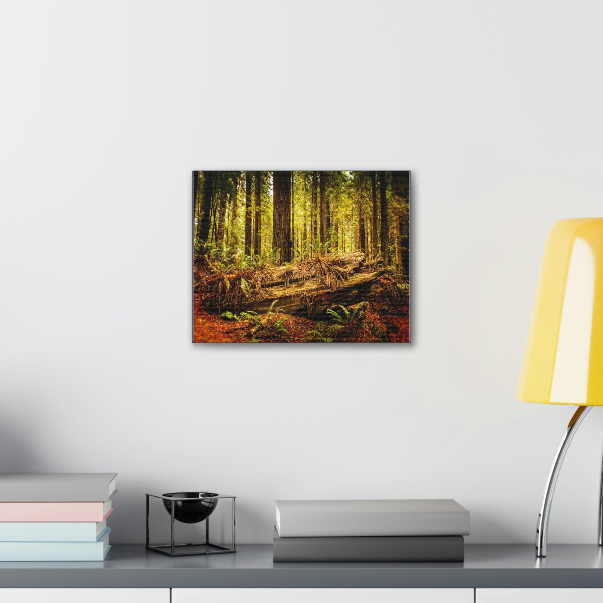 US NATIONAL PARKS - SMALL Canvas Gallery Wraps - Giant sequoia trees in the Redwood Forest National and State Park, California - the world's oldest trees! - Green Forest Home