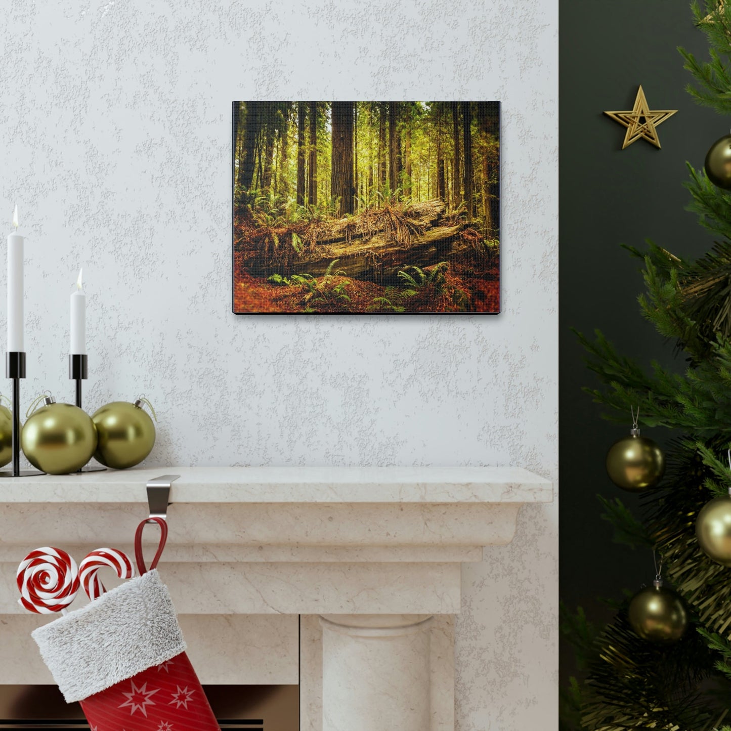US NATIONAL PARKS - SMALL Canvas Gallery Wraps - Giant sequoia trees in the Redwood Forest National and State Park, California - the world's oldest trees! - Green Forest Home