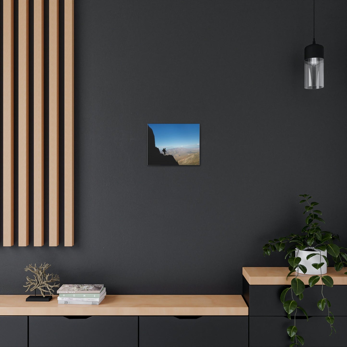 US NATIONAL PARKS - SMALL Canvas Gallery Wraps - Hiker mesmerized by the immense ANZA-BORREGO 600K ACRES California Desert state park - Green Forest Home