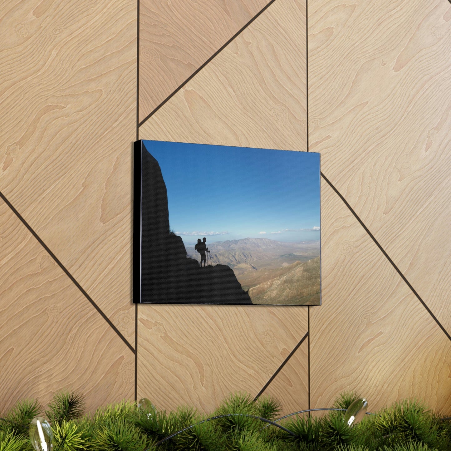US NATIONAL PARKS - SMALL Canvas Gallery Wraps - Hiker mesmerized by the immense ANZA-BORREGO 600K ACRES California Desert state park - Green Forest Home
