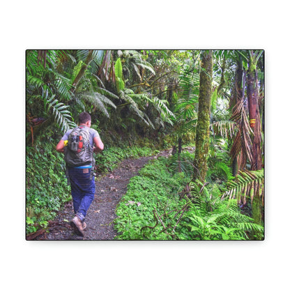 US NATIONAL PARKS - SMALL Canvas Gallery Wraps - Made in USA - Deep forest explorations - Jose up El Yunque trail - a rainforest in Puerto Rico - Green Forest Home