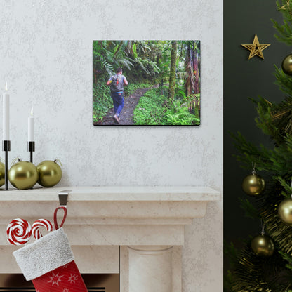 US NATIONAL PARKS - SMALL Canvas Gallery Wraps - Made in USA - Deep forest explorations - Jose up El Yunque trail - a rainforest in Puerto Rico - Green Forest Home