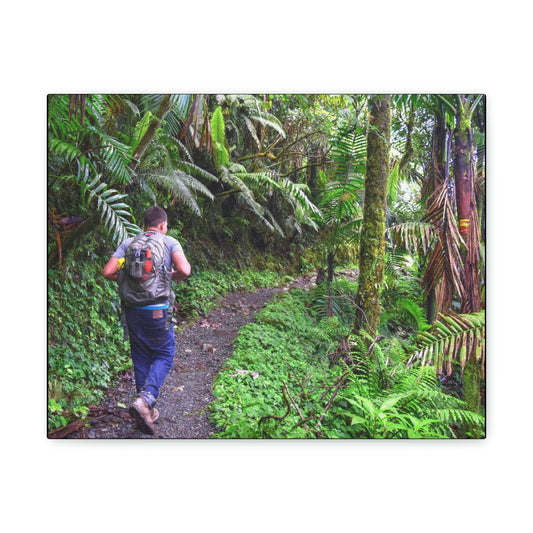 US NATIONAL PARKS - SMALL Canvas Gallery Wraps - Made in USA - Deep forest explorations - Jose up El Yunque trail - a rainforest in Puerto Rico - Green Forest Home