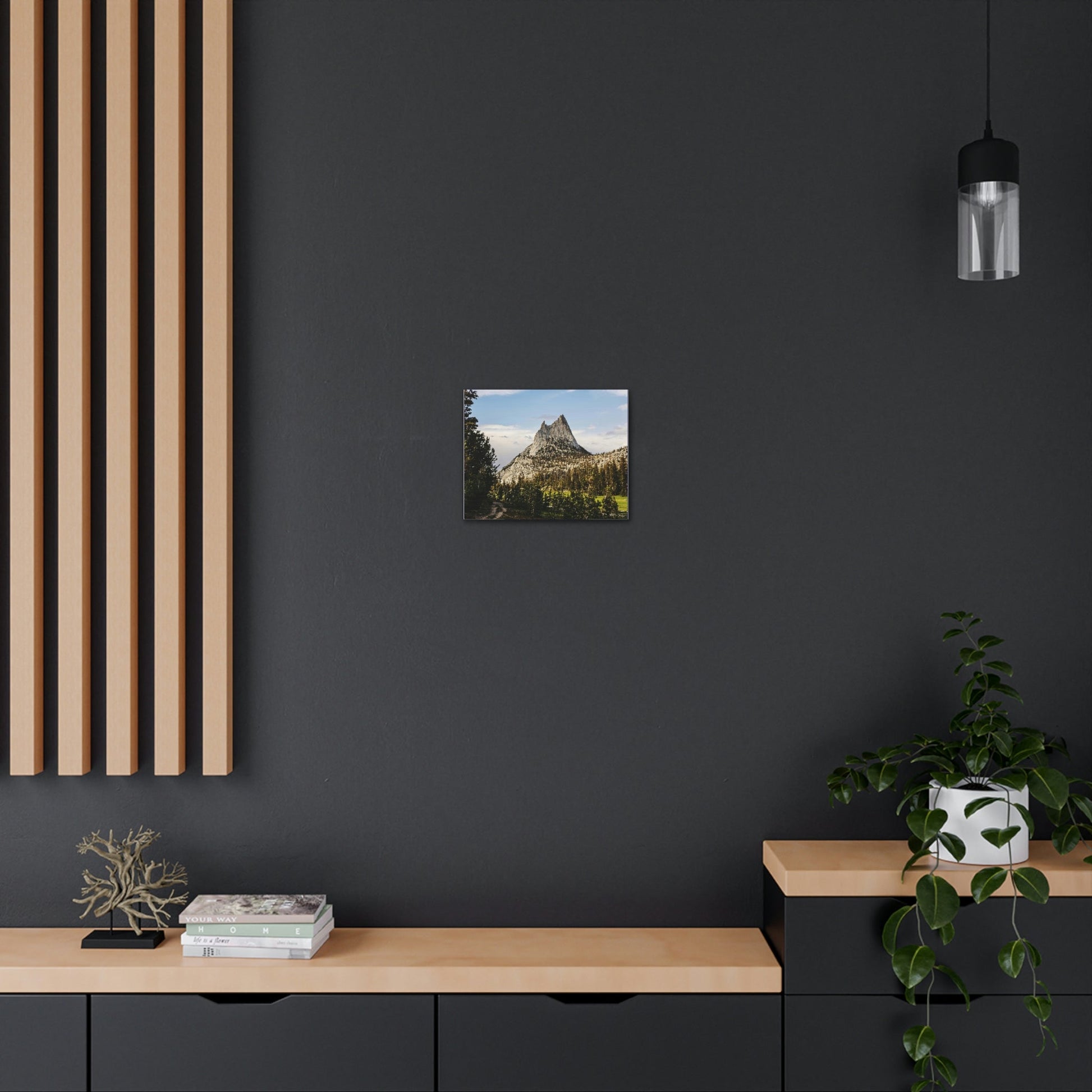 US NATIONAL PARKS - SMALL Canvas Gallery Wraps - The Wonderland of Yosemite - Half Dome - California near SF - a must see! - Green Forest Home