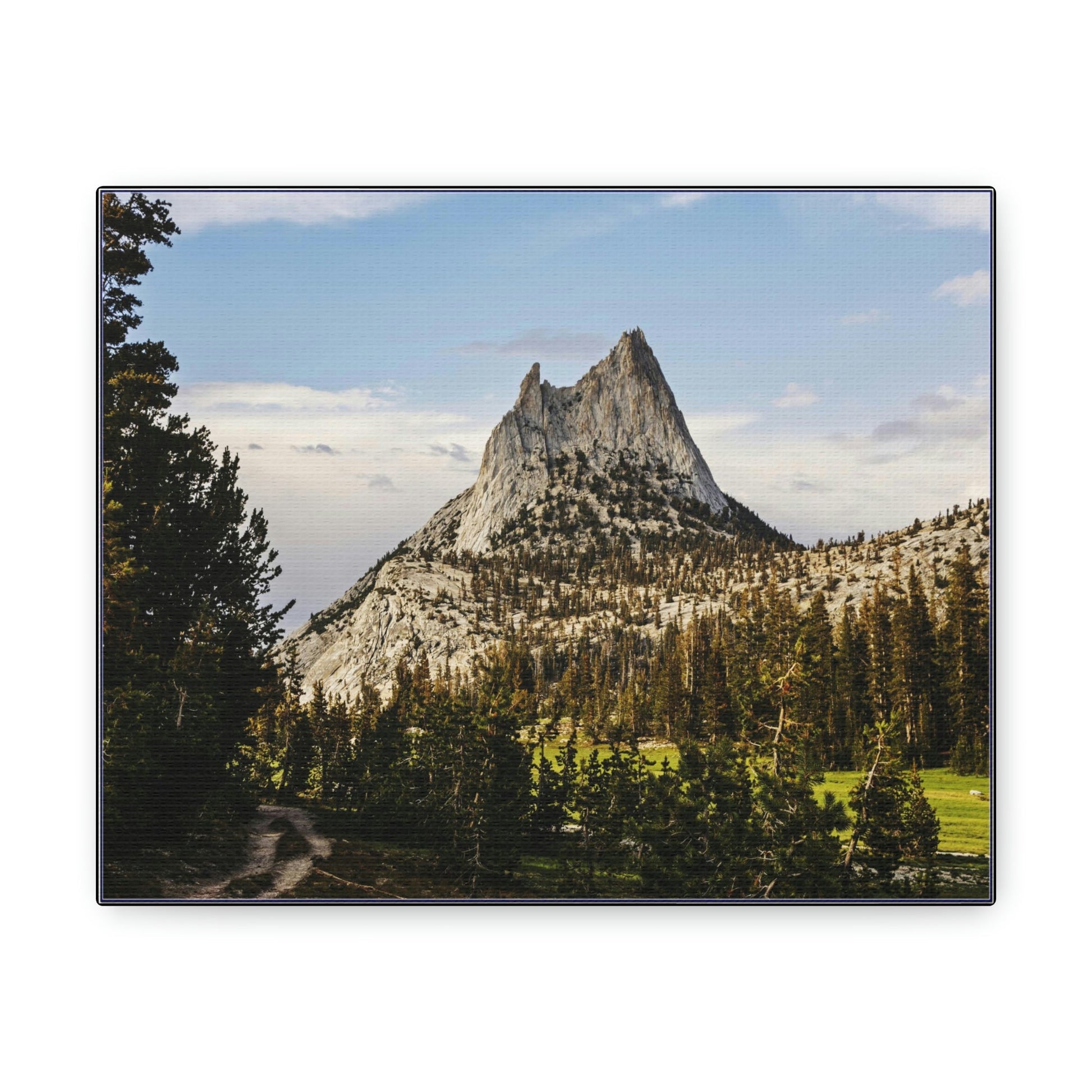 US NATIONAL PARKS - SMALL Canvas Gallery Wraps - The Wonderland of Yosemite - Half Dome - California near SF - a must see! - Green Forest Home