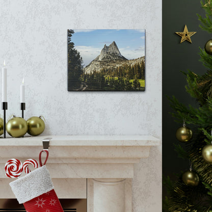 US NATIONAL PARKS - SMALL Canvas Gallery Wraps - The Wonderland of Yosemite - Half Dome - California near SF - a must see! - Green Forest Home
