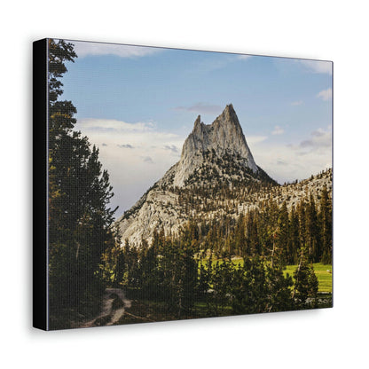 US NATIONAL PARKS - SMALL Canvas Gallery Wraps - The Wonderland of Yosemite - Half Dome - California near SF - a must see! - Green Forest Home