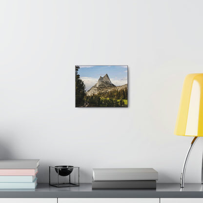 US NATIONAL PARKS - SMALL Canvas Gallery Wraps - The Wonderland of Yosemite - Half Dome - California near SF - a must see! - Green Forest Home