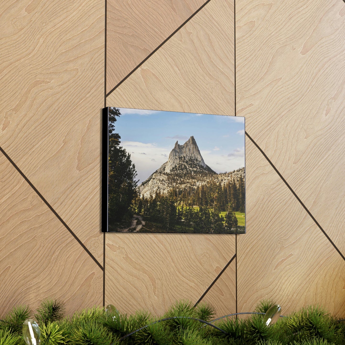 US NATIONAL PARKS - SMALL Canvas Gallery Wraps - The Wonderland of Yosemite - Half Dome - California near SF - a must see! - Green Forest Home