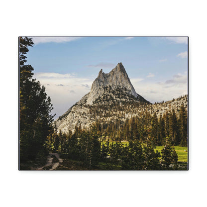 US NATIONAL PARKS - SMALL Canvas Gallery Wraps - The Wonderland of Yosemite - Half Dome - California near SF - a must see! - Green Forest Home