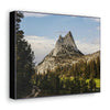 US NATIONAL PARKS - SMALL Canvas Gallery Wraps - The Wonderland of Yosemite - Half Dome - California near SF - a must see! - Green Forest Home