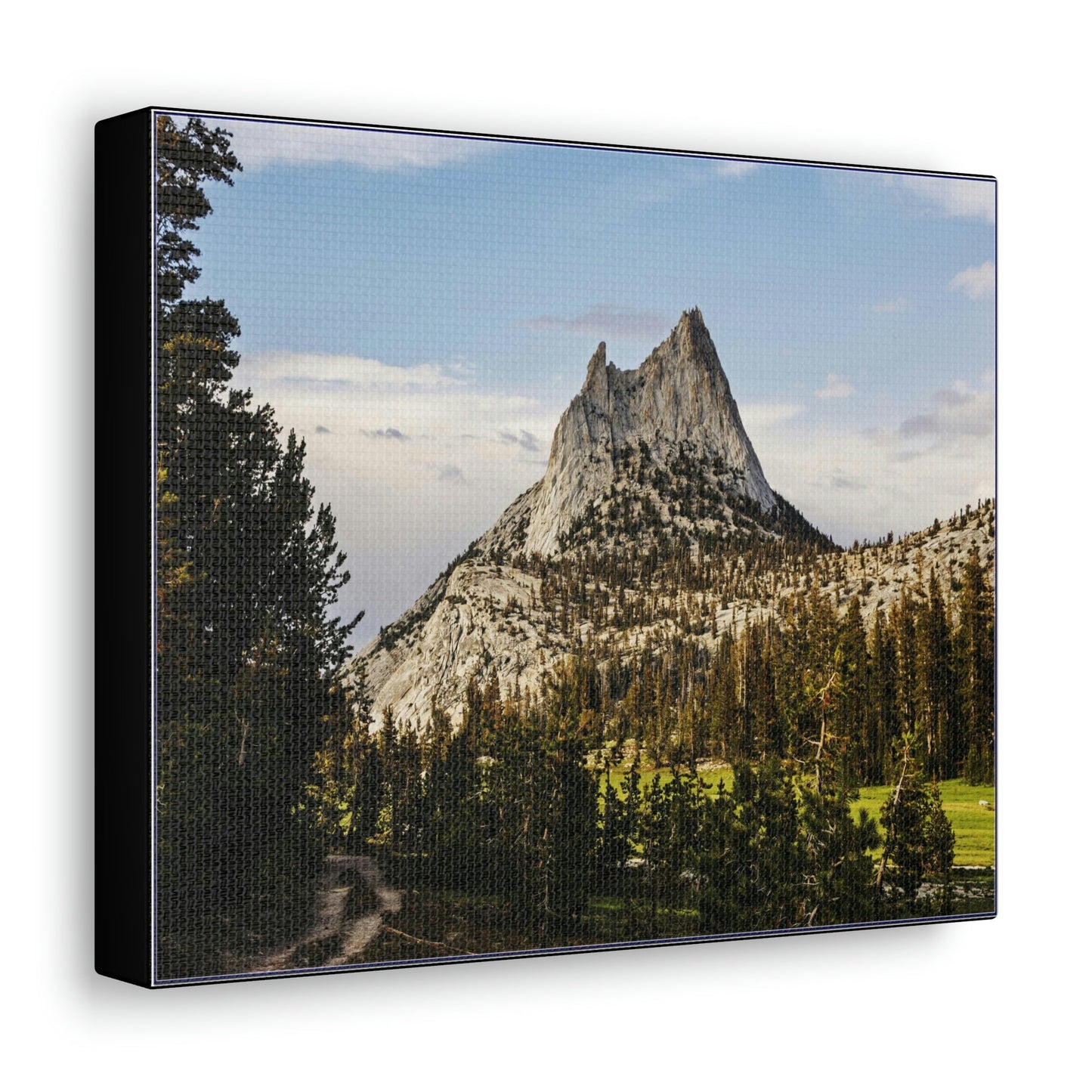 US NATIONAL PARKS - SMALL Canvas Gallery Wraps - The Wonderland of Yosemite - Half Dome - California near SF - a must see! - Green Forest Home