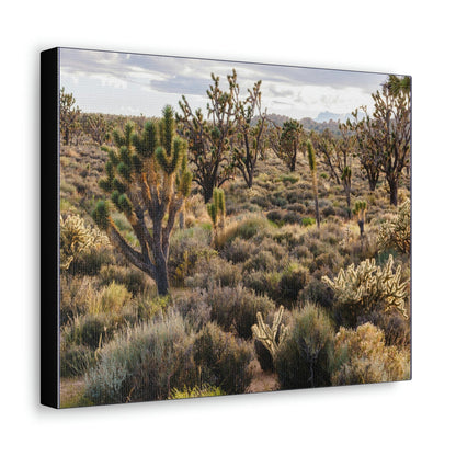 US STATE PARKS - SMALL Canvas Gallery Wraps - High desert landscape in Anza Borrego Desert State Park - California - be sure to BRING WATER! - Green Forest Home