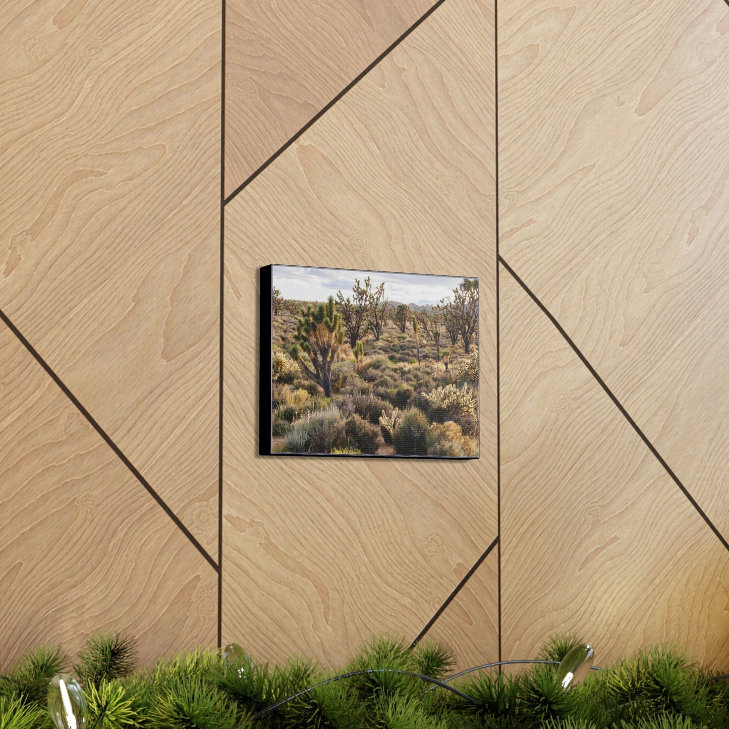 US STATE PARKS - SMALL Canvas Gallery Wraps - High desert landscape in Anza Borrego Desert State Park - California - be sure to BRING WATER! - Green Forest Home