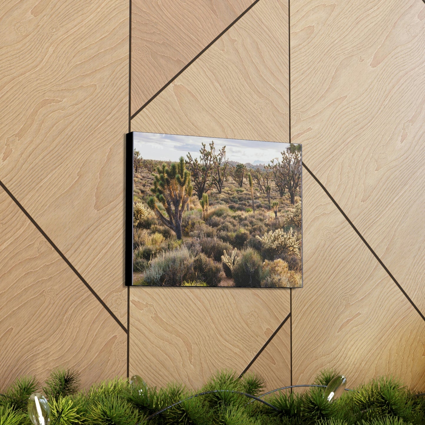 US STATE PARKS - SMALL Canvas Gallery Wraps - High desert landscape in Anza Borrego Desert State Park - California - be sure to BRING WATER! - Green Forest Home