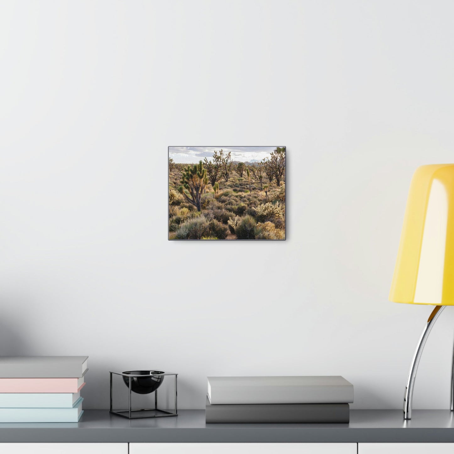 US STATE PARKS - SMALL Canvas Gallery Wraps - High desert landscape in Anza Borrego Desert State Park - California - be sure to BRING WATER! - Green Forest Home